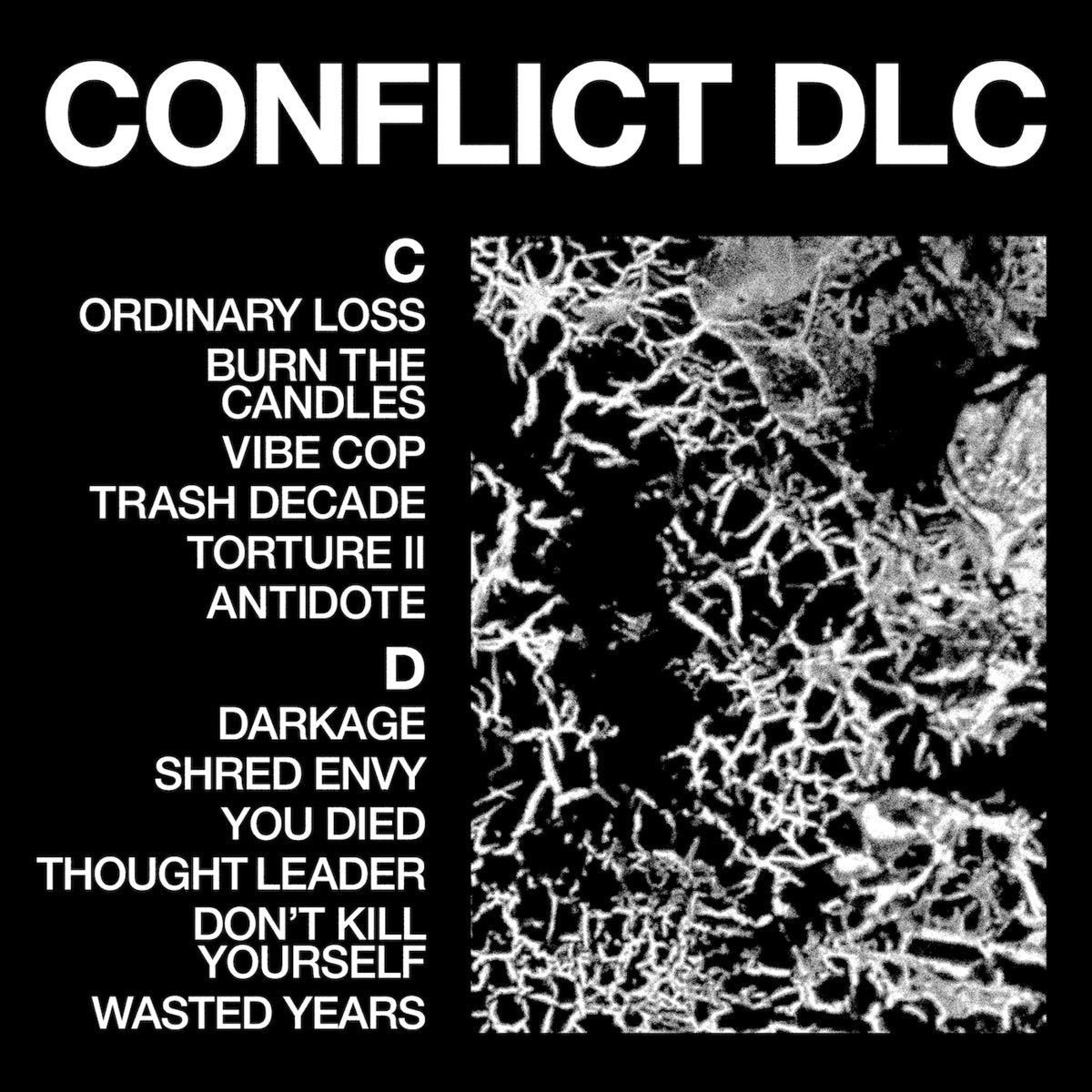 HEALTH "Conflict DLC" LP - Evil Greed