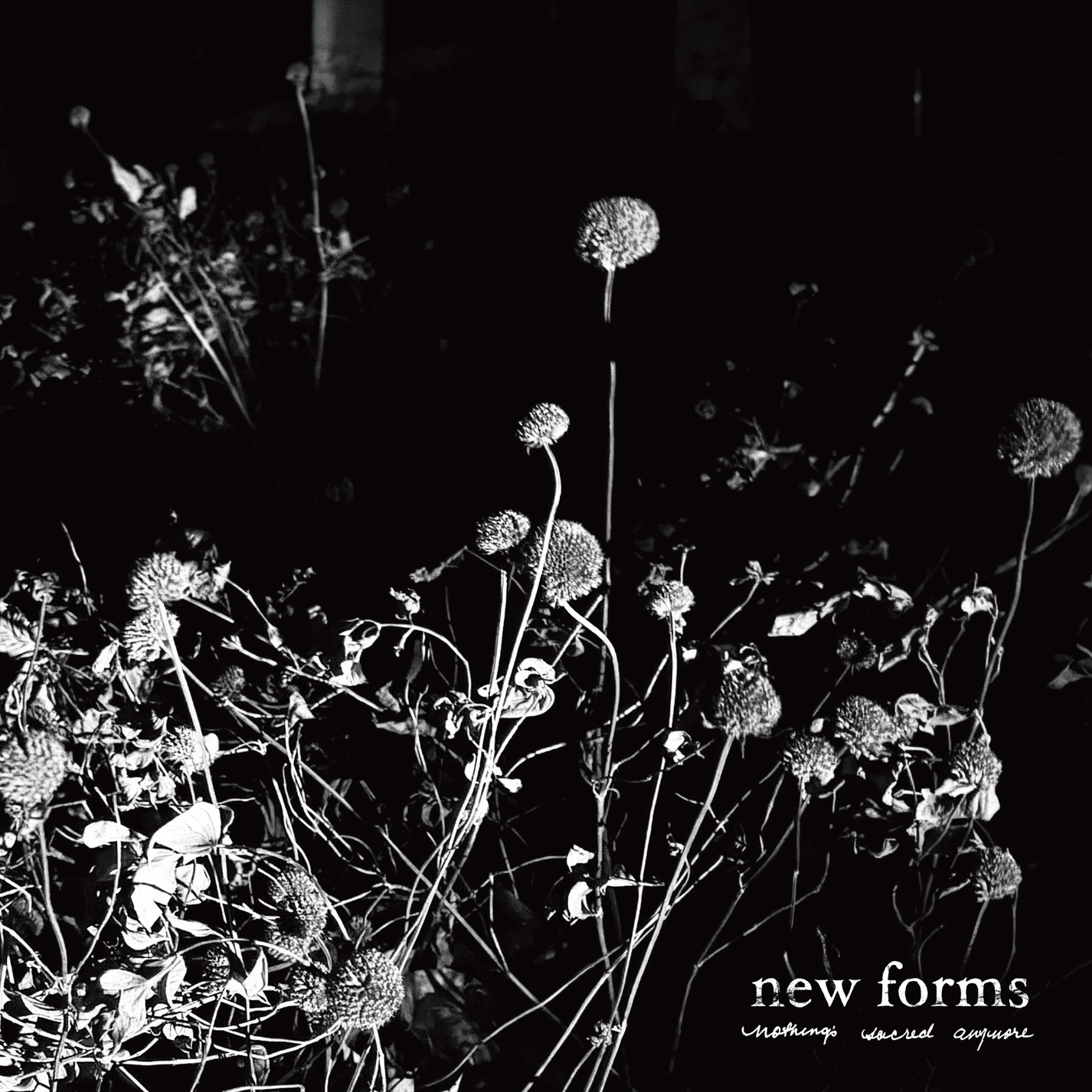 NEW FORMS "Nothing's Sacred Anymore" LP - Evil Greed