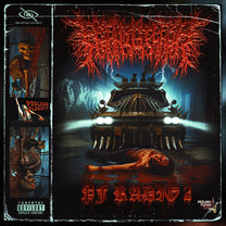 PEELINGFLESH "PF Radio 2" LP