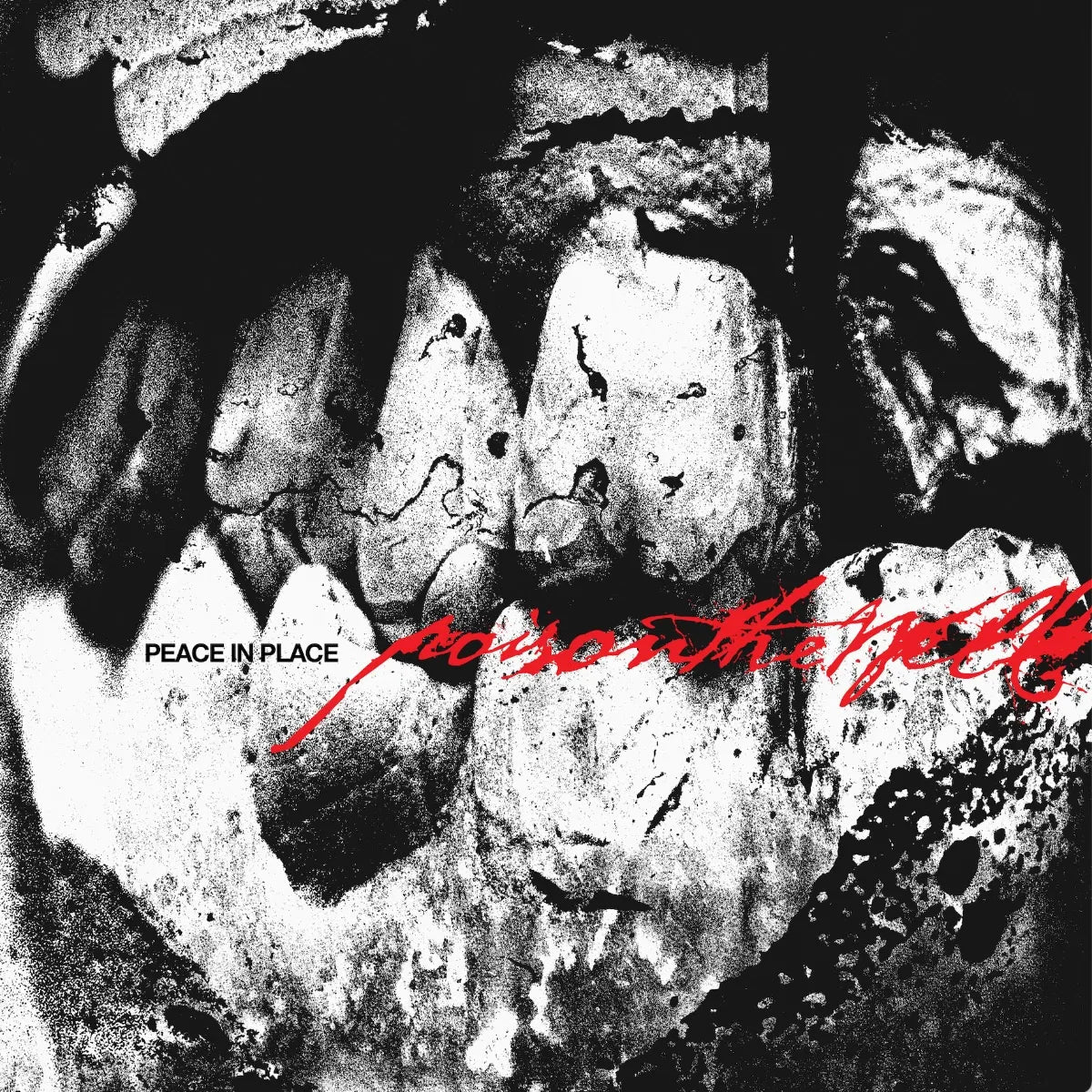 POISON THE WELL "Peace In Place" LP