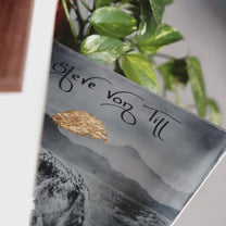 STEVE VON TILL &quot;Alone In A World Of Wounds&quot; LP