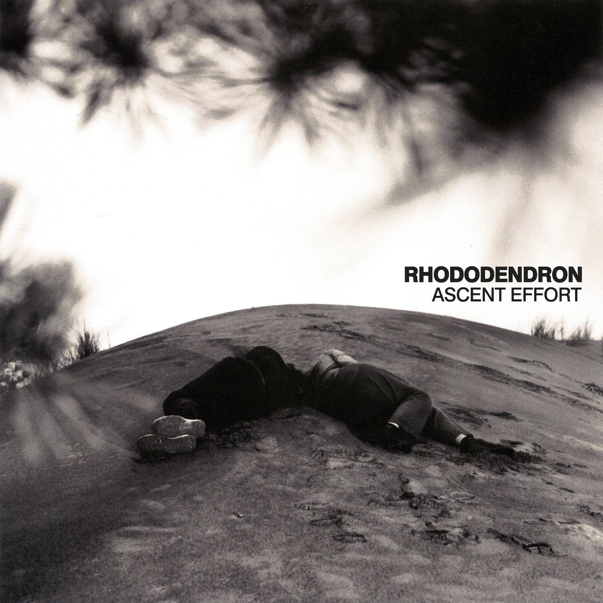 RHODODENDRON "Ascent Effort" LP - Evil Greed