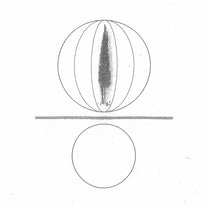 STEPHEN O'MALLEY "Spheres Collapser" LP