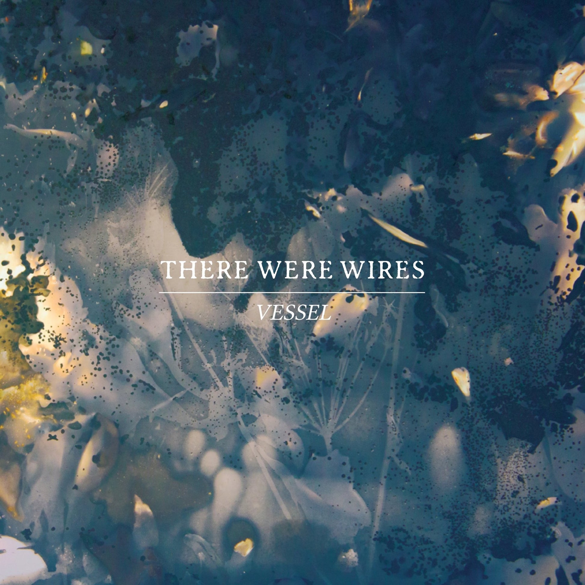 THERE WERE WIRES "Vessel" LP - Evil Greed