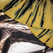 AMENRA &quot;De Doorn - Second Version&quot; 2xLP