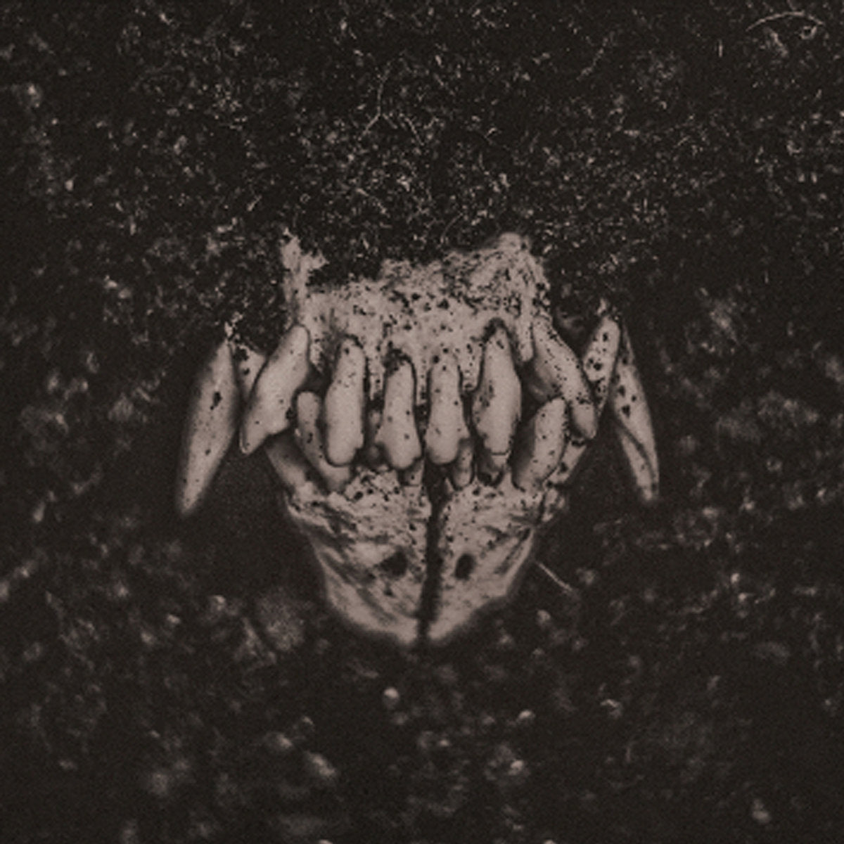 AMENRA &quot;Mass I&quot; LP