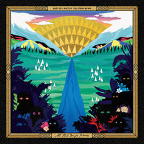 AND SO I WATCH YOU FROM AFAR &quot;All Hail Bright Futures&quot; CD