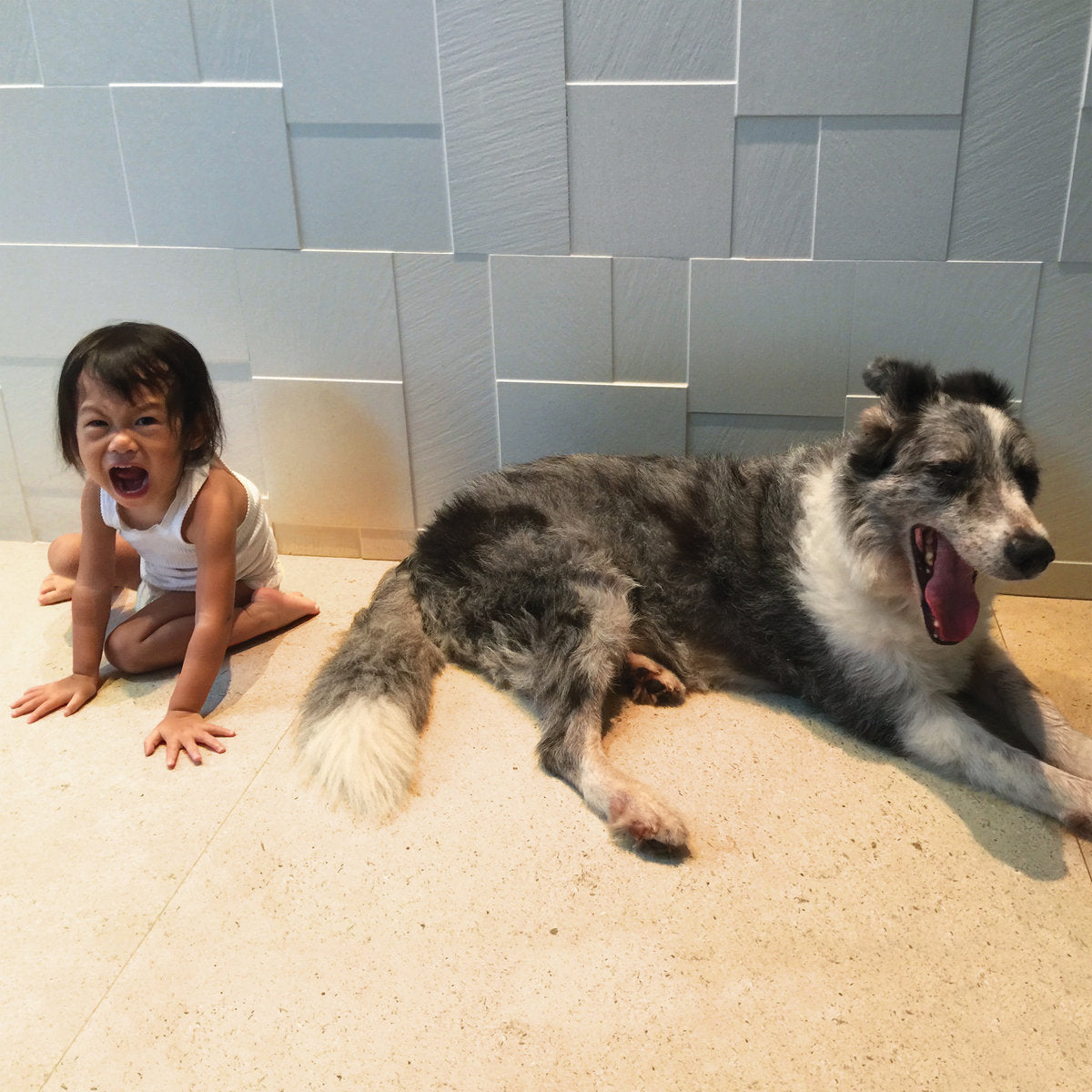 AND SO I WATCH YOU FROM AFAR &quot;The Endless Shimmering&quot; LP