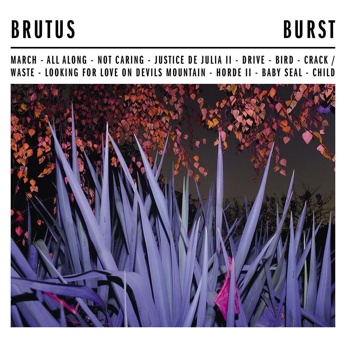 BRUTUS &quot;Burst&quot; LP