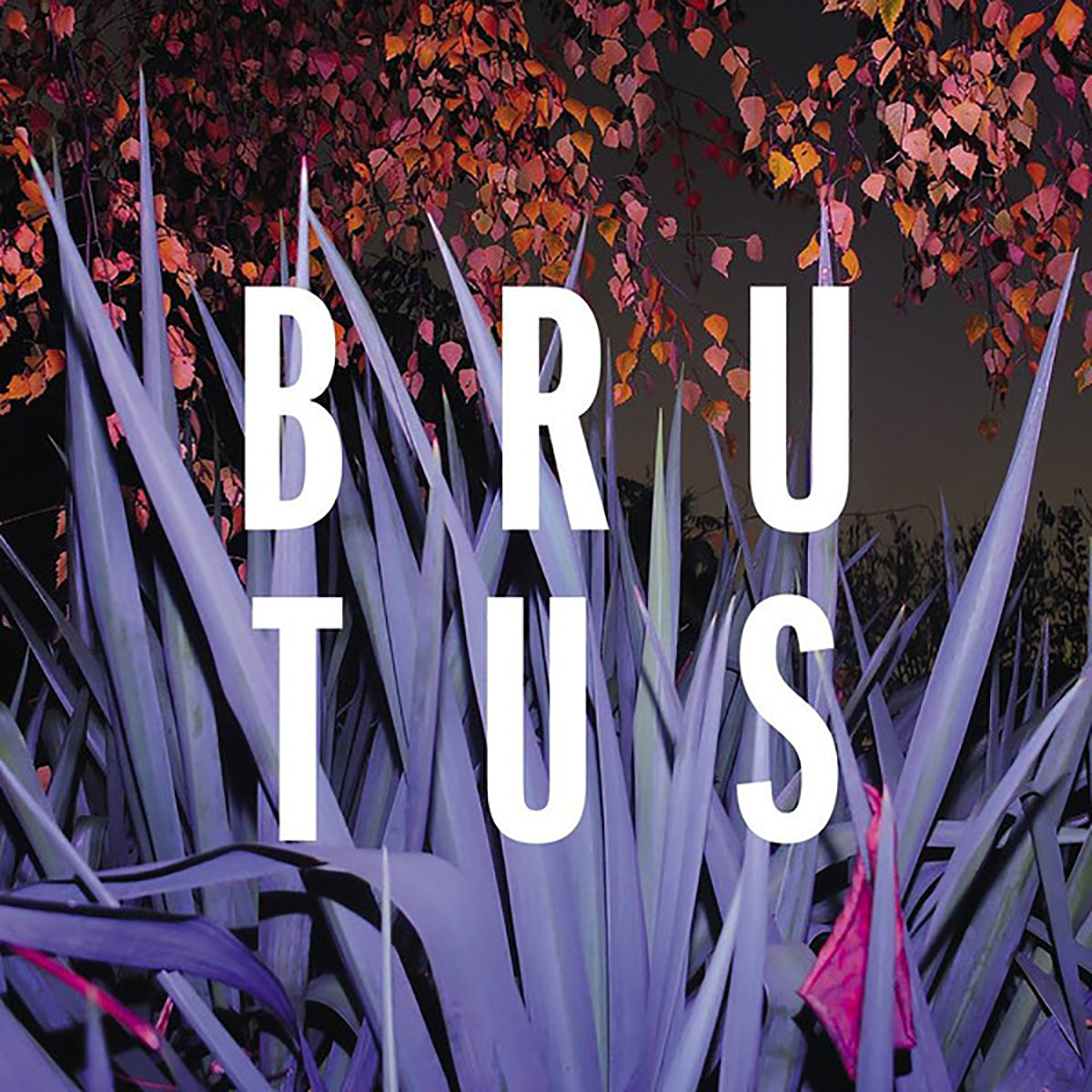 BRUTUS &quot;Burst&quot; CD