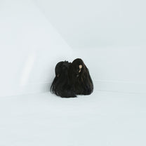 CHELSEA WOLFE &quot;Hiss Spun&quot; 2xLP