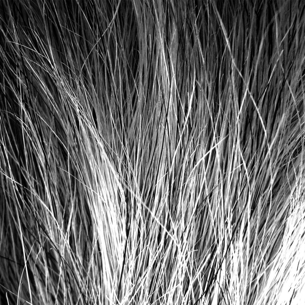 DANIEL MENCHE &quot;Vilké&quot; 2xLP