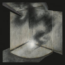 DEAD VOID &quot;Volatile Forms&quot; LP