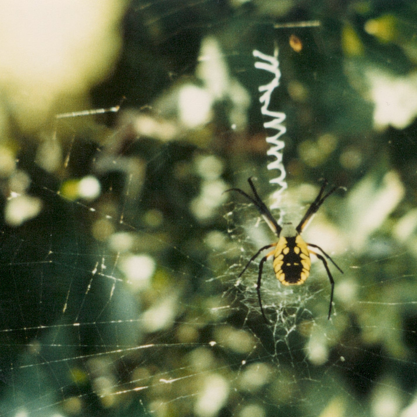 GLEEMER &quot;Here At All&quot; EP