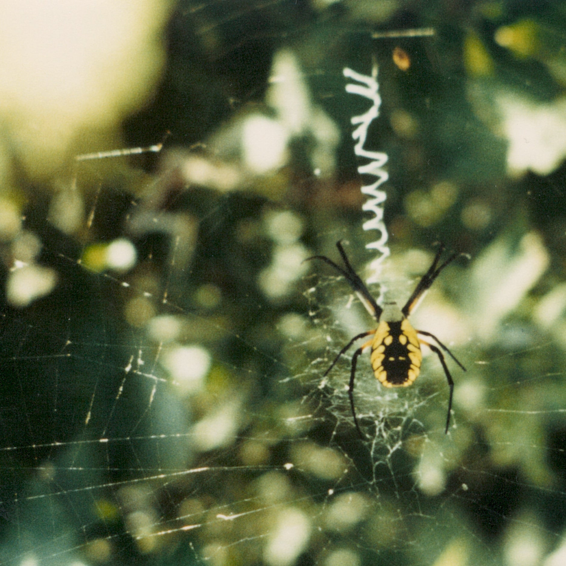 GLEEMER &quot;Here At All&quot; EP