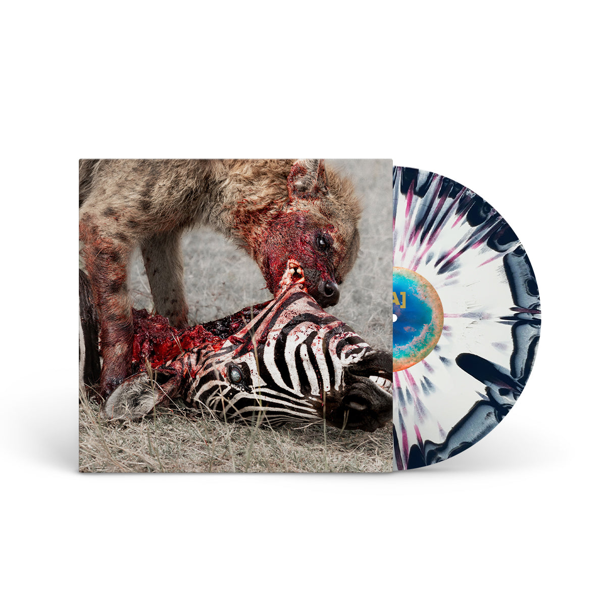 GOD IS WAR &quot;Predation Perfected&quot; LP BLOODY ZEBRA