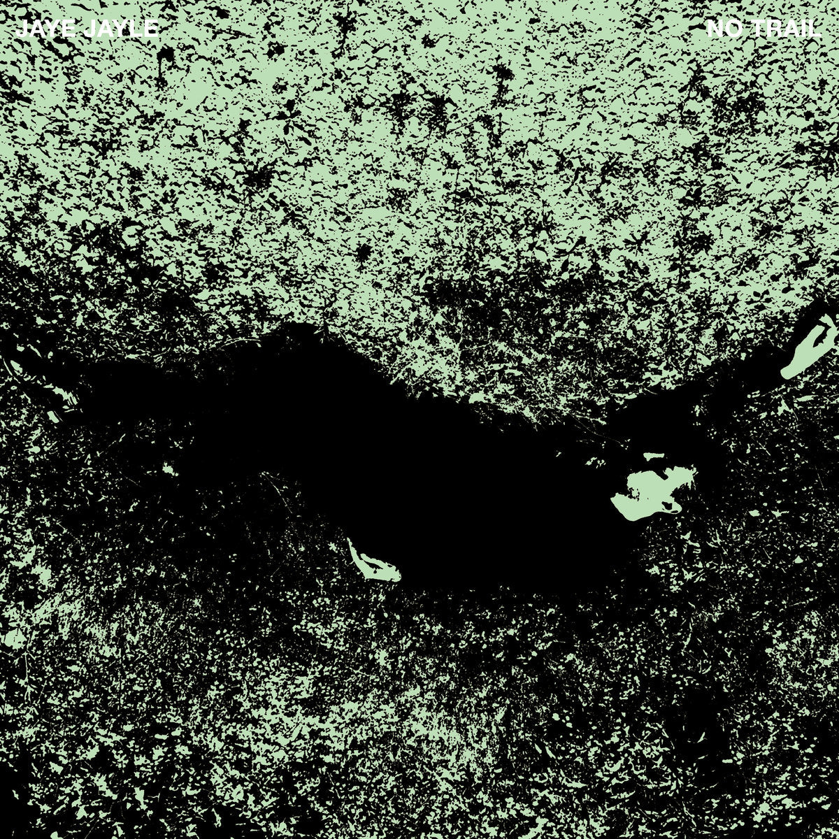 JAYE JAYLE &quot;No Trail And Other Unholy Paths&quot; LP