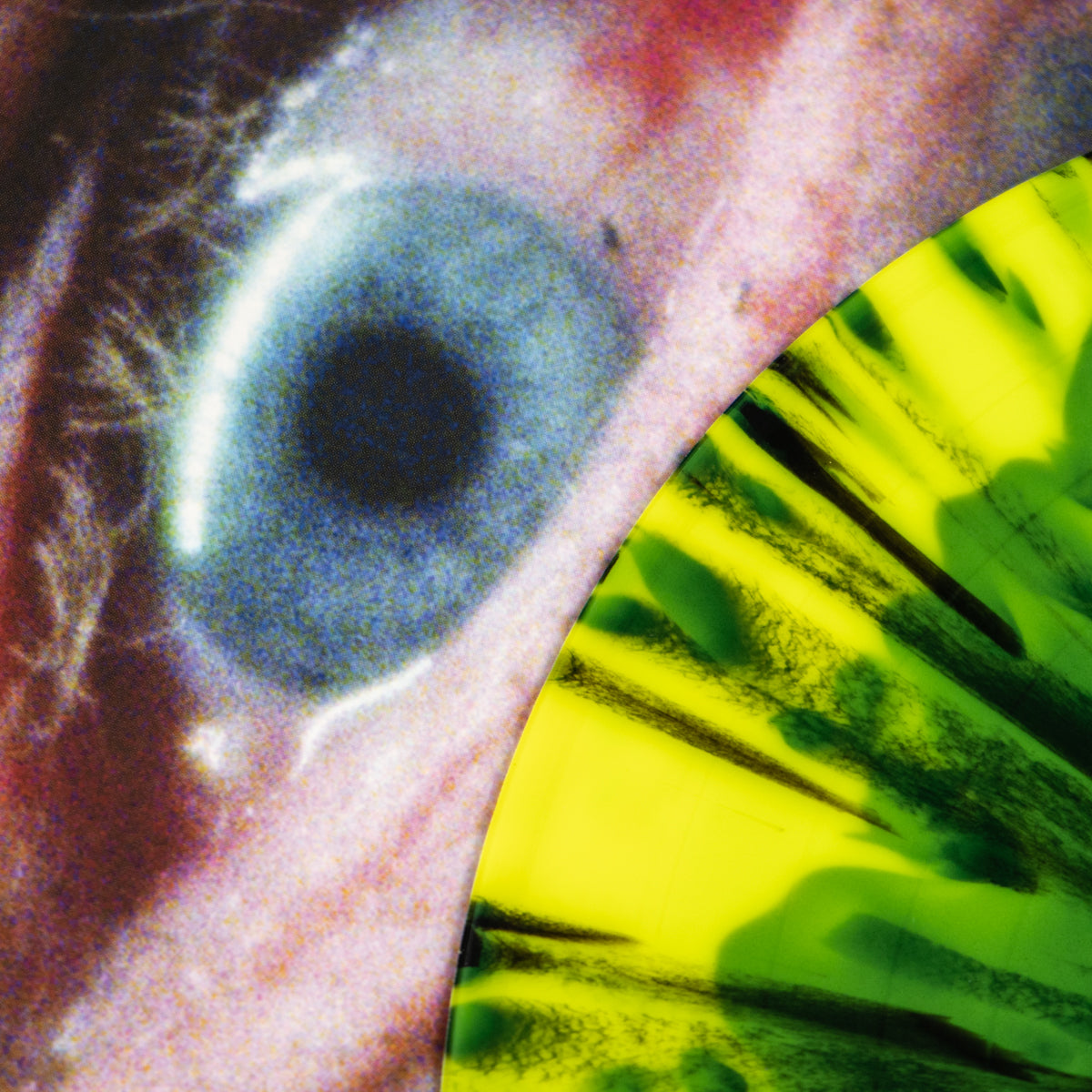 NOTHING &quot;The Great Dismal&quot; LP