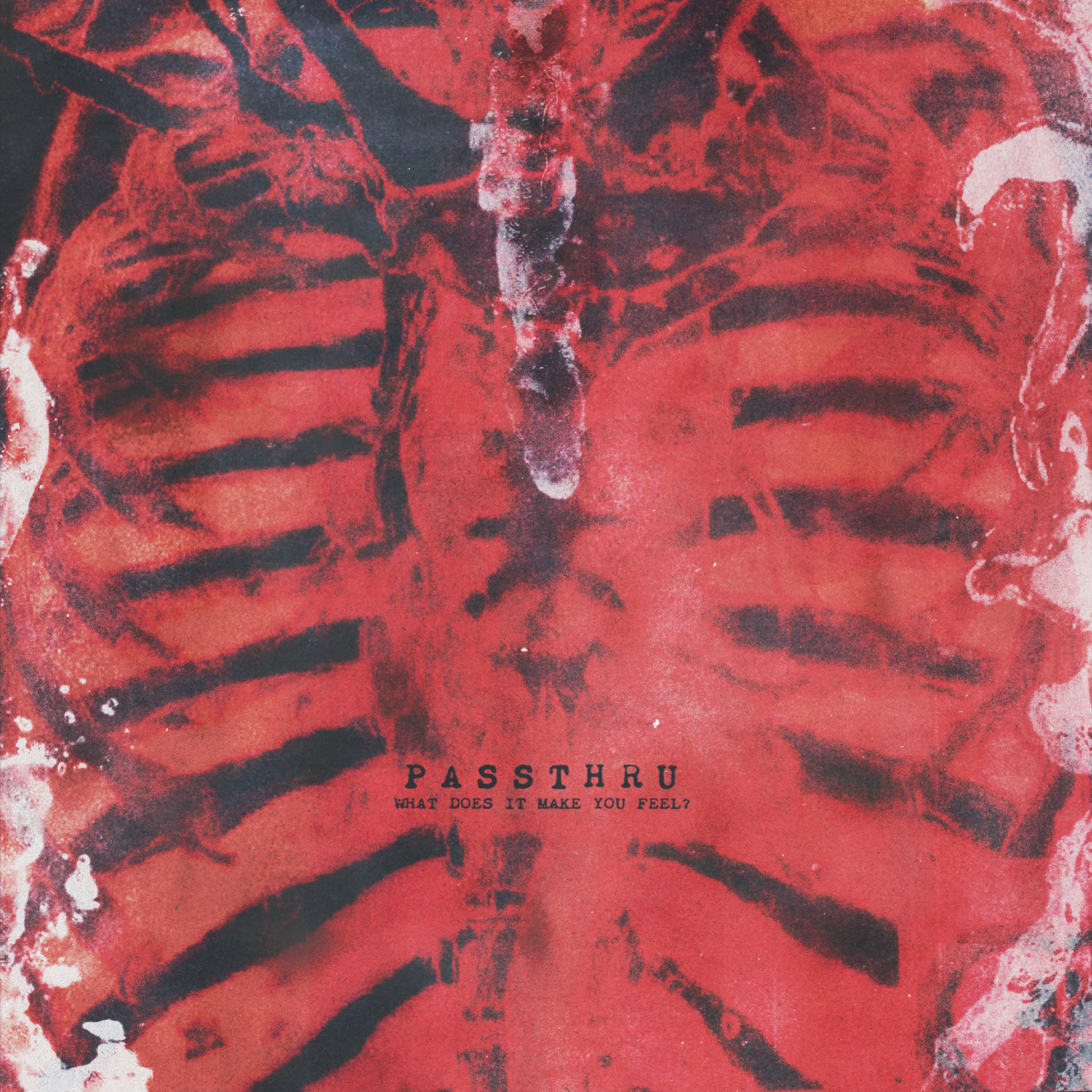 PASSTHRU &quot;What Does It Make You Feel?&quot; LP