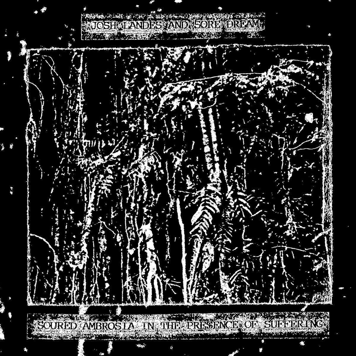 SORE DREAM/JOSH LANDES &quot;Soured Ambrosia In The Presence Of Suffering&quot; CD