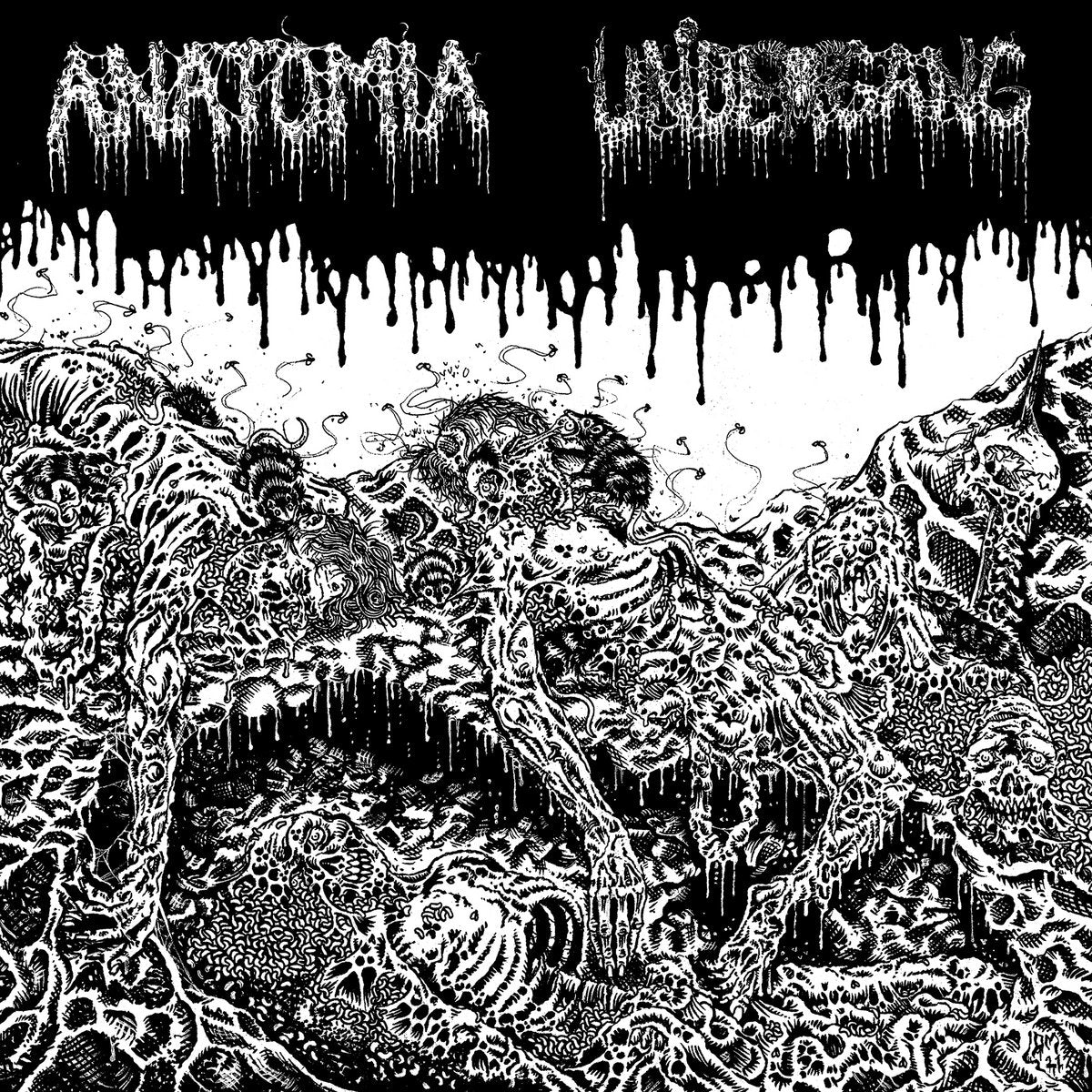 UNDERGANG &amp; ANATOMIA &quot;Split&quot; LP