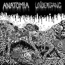 UNDERGANG &amp; ANATOMIA &quot;Split&quot; LP
