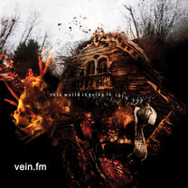 VEIN.FM &quot;This World Is Going To Ruin You&quot; LP