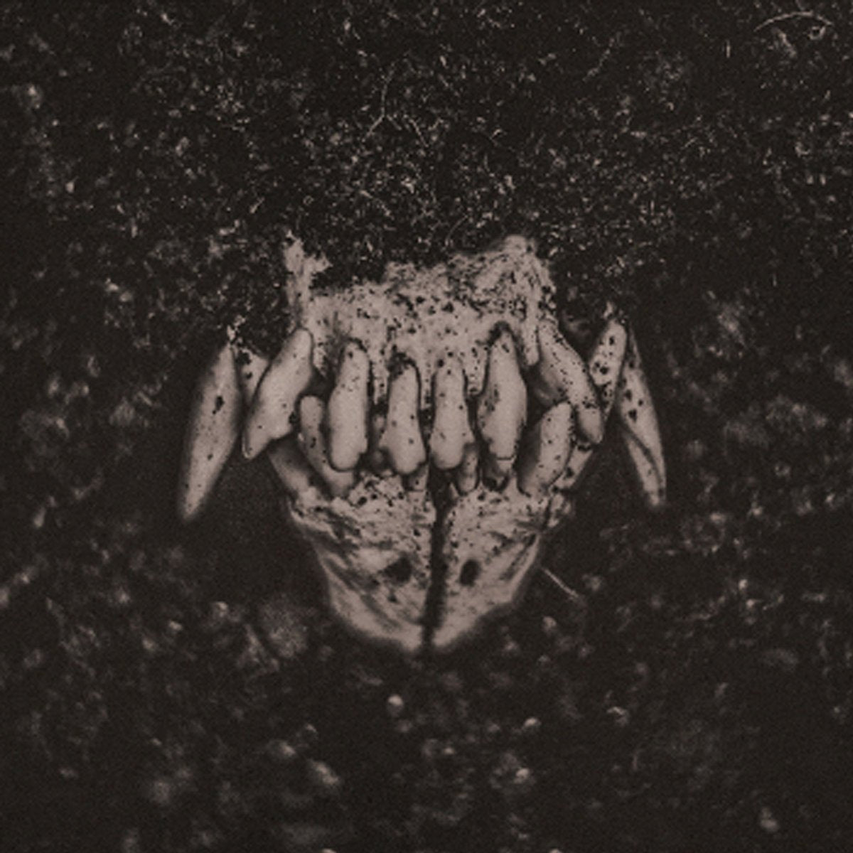 AMENRA "Mass I" CD