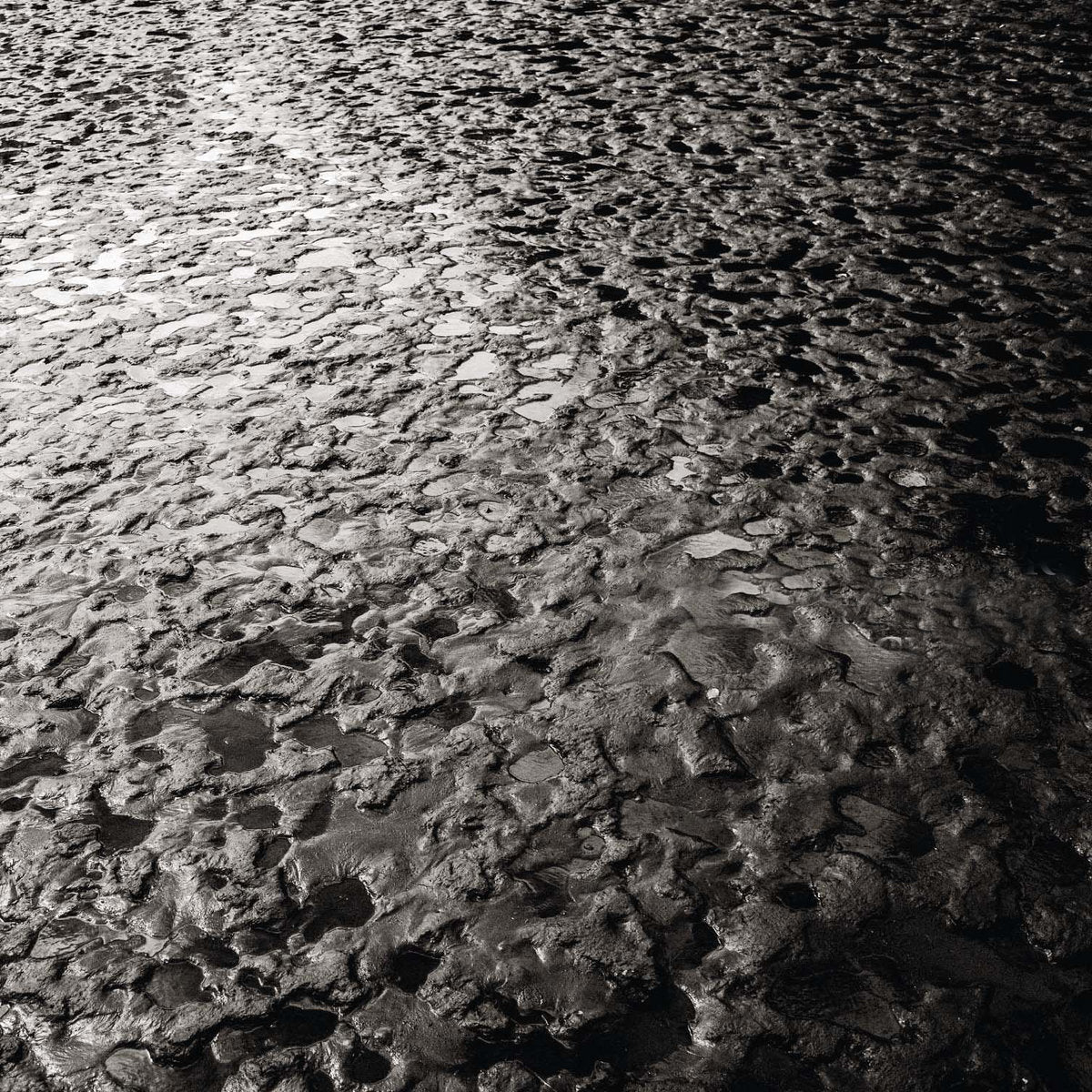 MAMIFFER &amp; DANIEL MENCHE "Crater" CD
